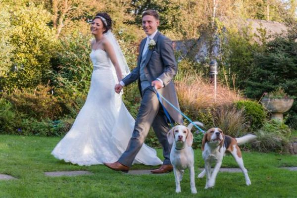 Dog Frendly Weddings